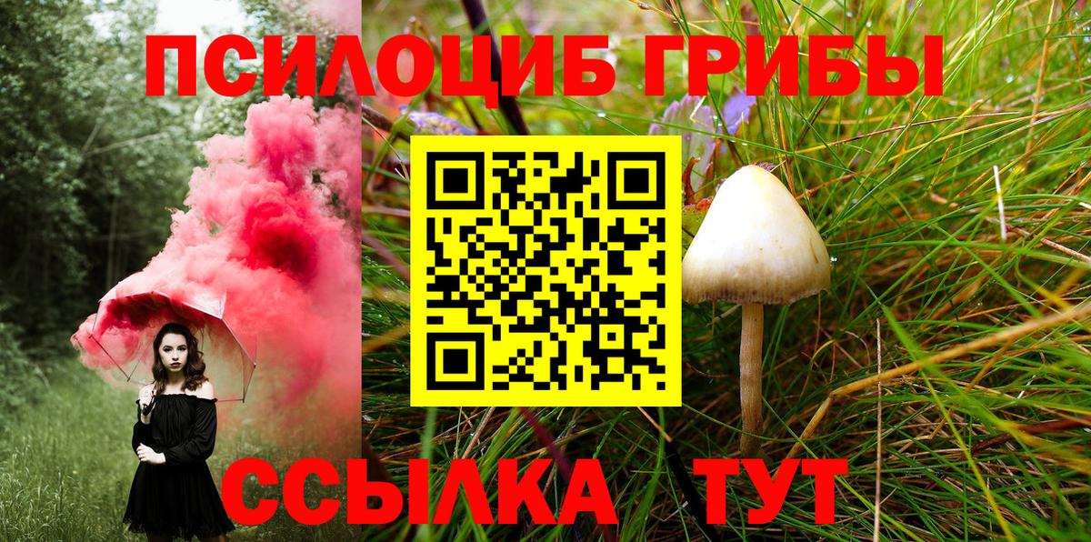 Псилоцибиновые грибы Psilocybine cubensis Апатиты